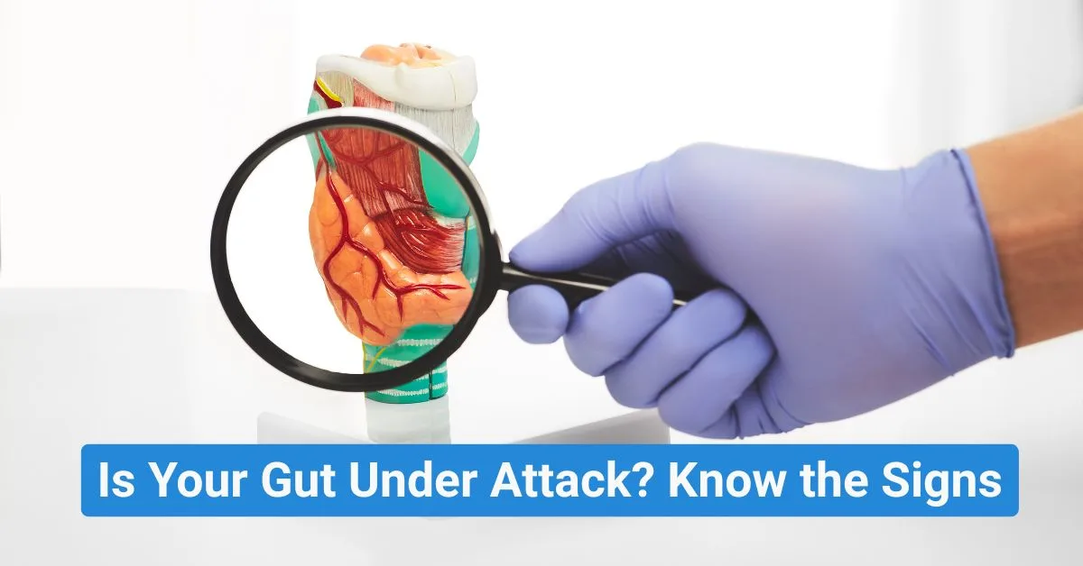 Understanding Autoimmune GI Diseases: A Comprehensive Overview