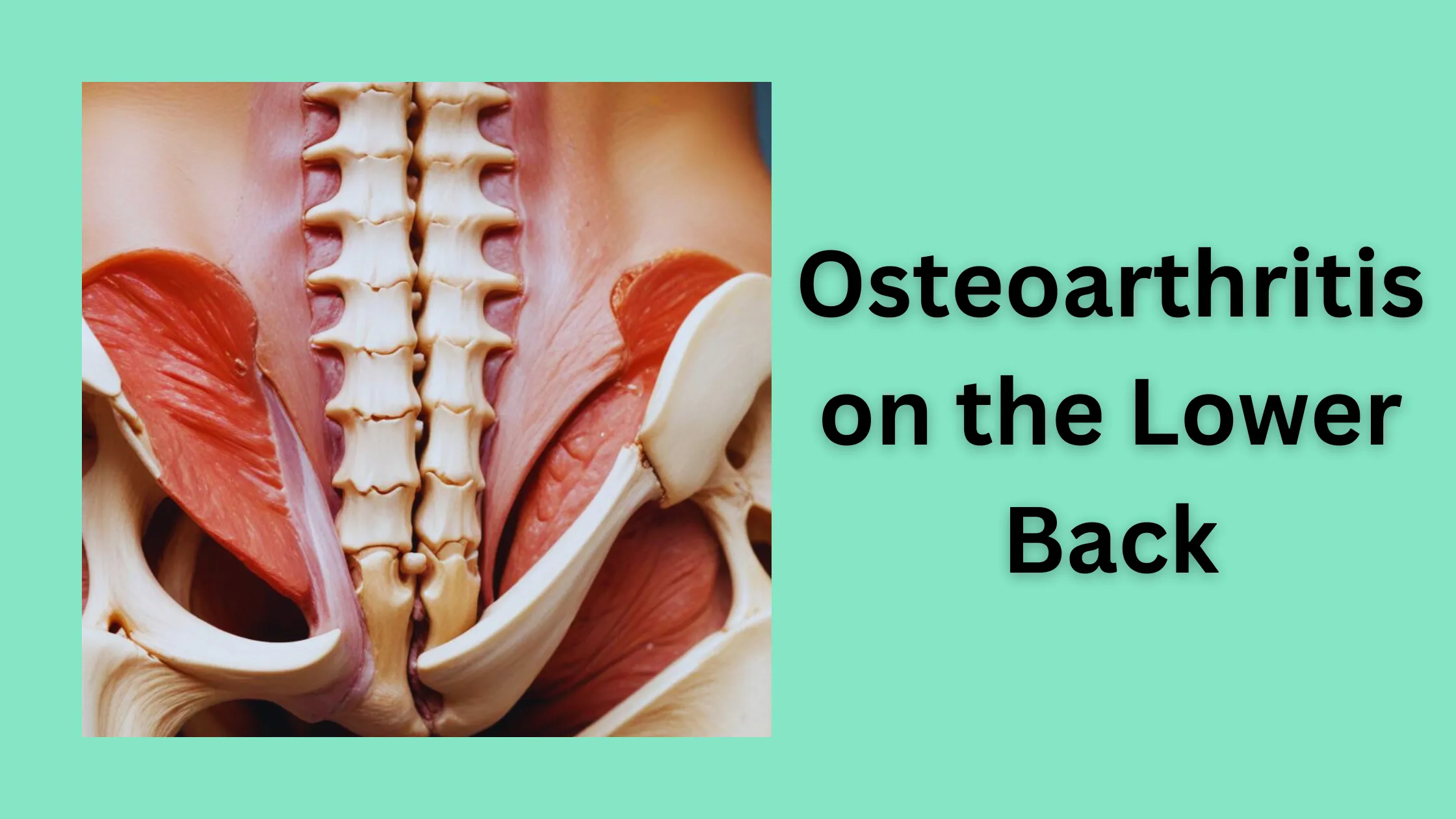 Lower Back Pain Reasons in Male