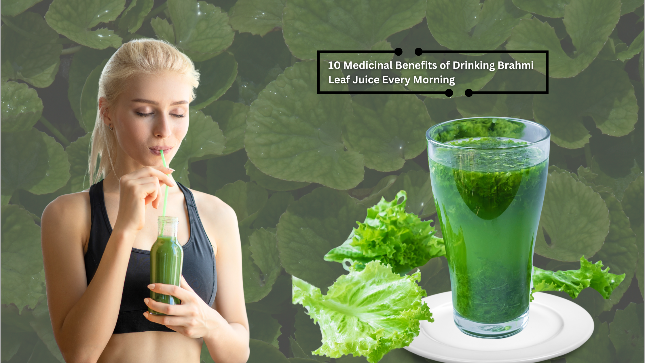 10 Medicinal Benefits of Drinking Brahmi Leaf Juice Every Morning