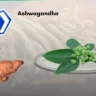 Can Ashwagandha cause Liver Damage? What Doctors and Research Say