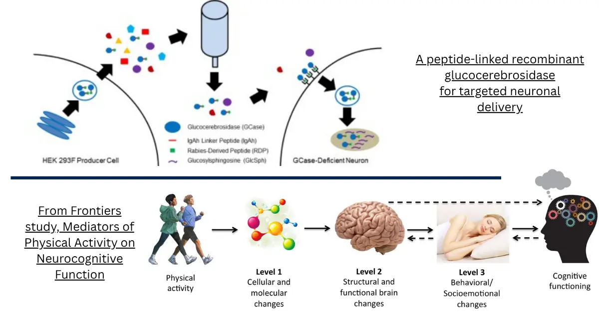 Ambroxol in Parkinson's Disease