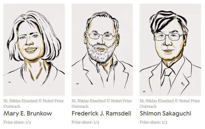Drs. Brunkow, Ramsdell, and Sakaguchi, the 2025 Nobel Prize winners in Medicine for their discovery of regulatory T cells.