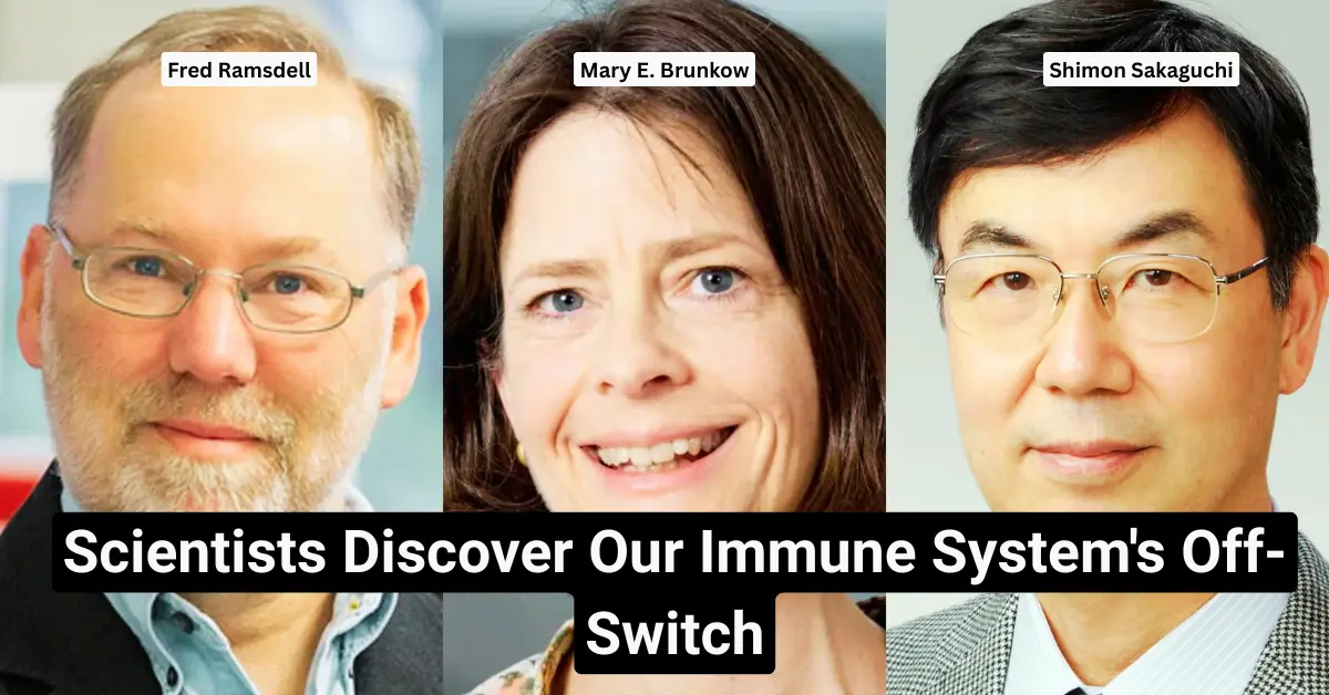 2025 Nobel Prize in Medicine Awarded for Discovery of Immune 'Peacekeepers'